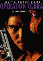 смотреть онлайн Инферно (1997) бесплатно в HD 