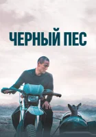  Чёрный пёс смотреть онлайн (2024) 